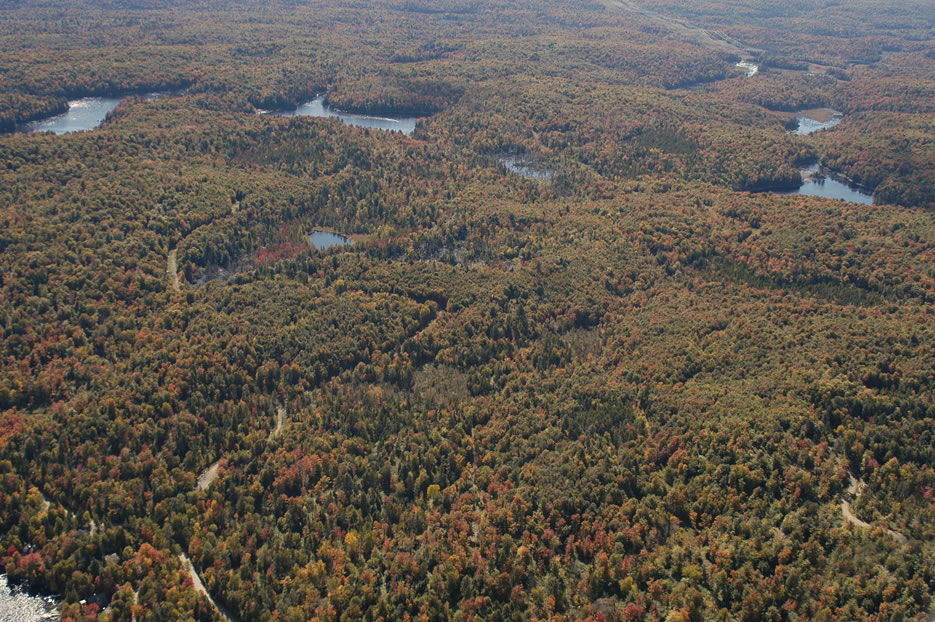 Lake St-Victor Nature